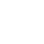 Warranty Terms & Exclusions